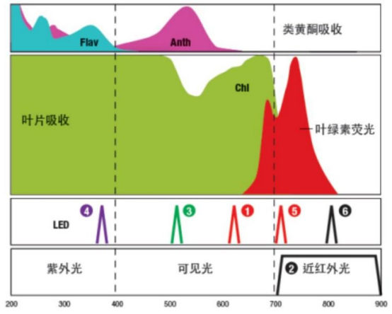 image.png 植物多酚叶绿素仪