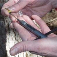 微型树木生长锥