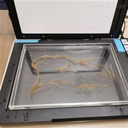 FG-RIAS植物根系分析仪