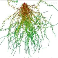 FG-RIAS根系分析系统