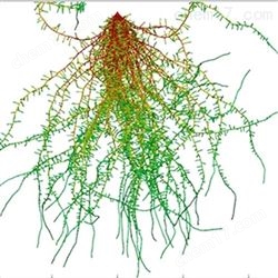 FG-RIAS根系分析系统