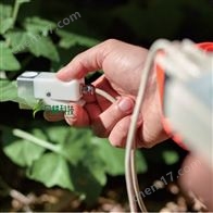 SC-1 叶片气孔导度计