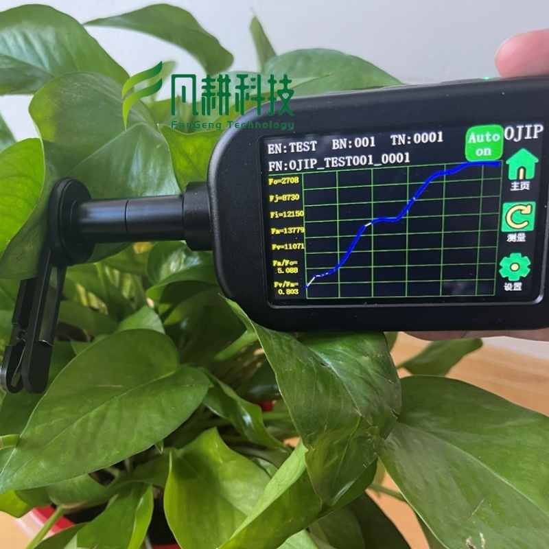 叶绿素荧光仪