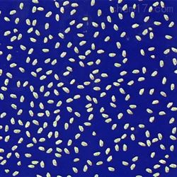 FG-KZ考种分析系统