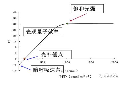光响应曲线.jpg 光响应曲线.jpg