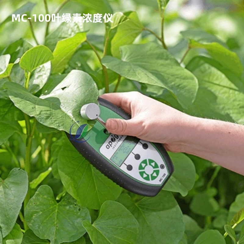Apogee 叶绿素浓度仪