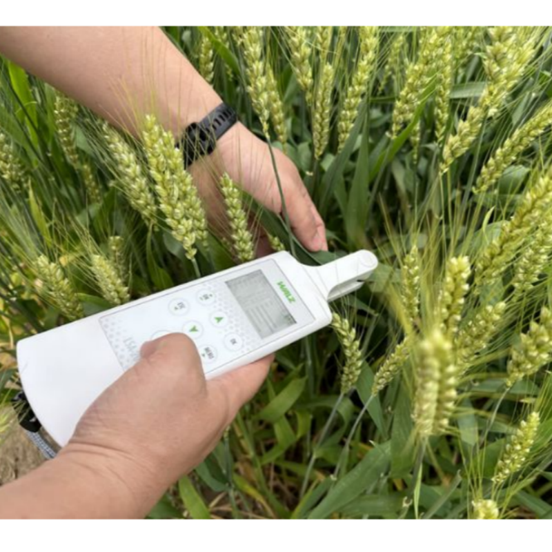 凡耕 植物多酚叶绿素荧光仪