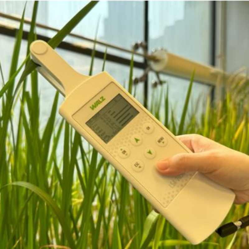 植物多酚叶绿素荧光仪