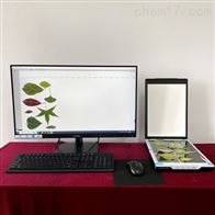 FS-leaf1000叶片图像分析仪