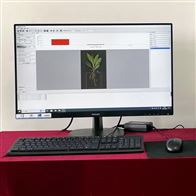 FG-RIAS根系分析仪