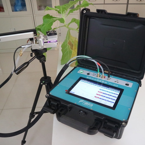 光合速率检测系统