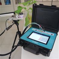 Pn-803光合速率检测系统